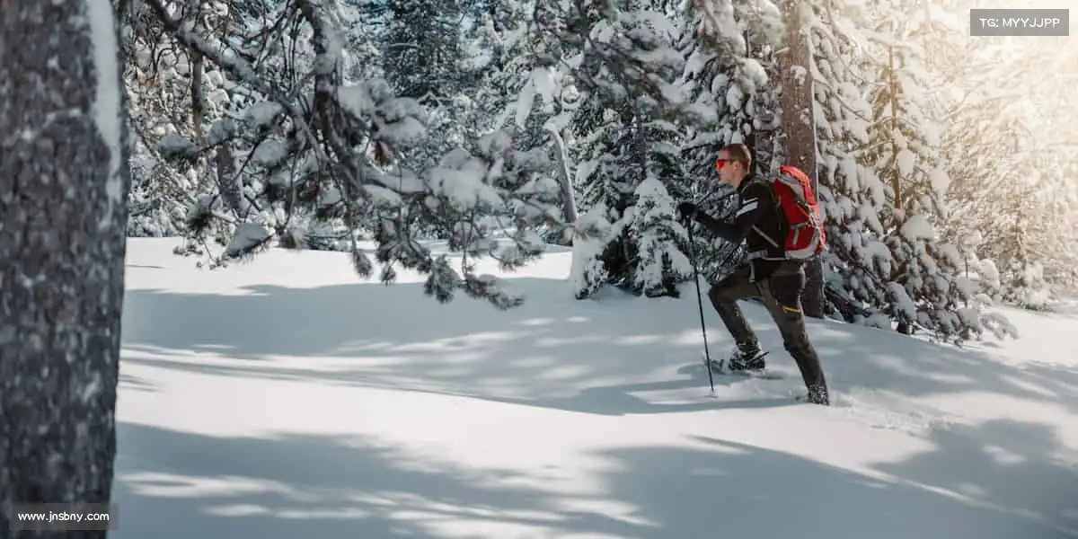 为什么选择我们